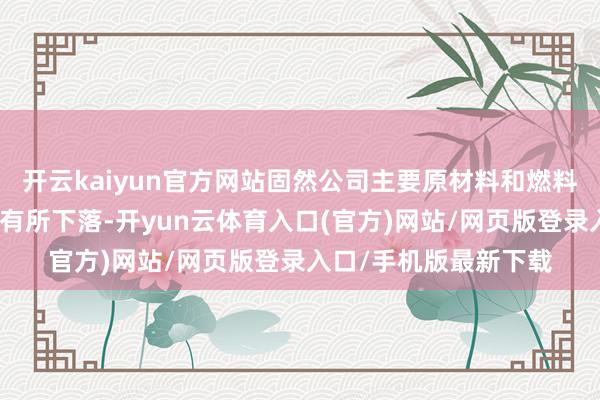 开云kaiyun官方网站固然公司主要原材料和燃料能源价钱较上一年度有所下落-开yun云体育入口(官方)网站/网页版登录入口/手机版最新下载