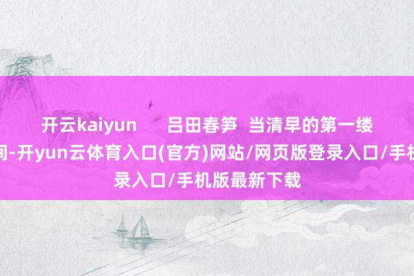 开云kaiyun      吕田春笋  当清早的第一缕阳光洒在山间-开yun云体育入口(官方)网站/网页版登录入口/手机版最新下载