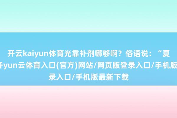 开云kaiyun体育光靠补剂哪够啊？俗语说：“夏天养骨-开yun云体育入口(官方)网站/网页版登录入口/手机版最新下载