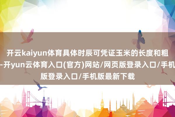 开云kaiyun体育具体时辰可凭证玉米的长度和粗细进行调养-开yun云体育入口(官方)网站/网页版登录入口/手机版最新下载