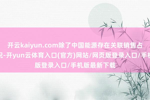开云kaiyun.com除了中国能源存在关联销售占相比大的情况-开yun云体育入口(官方)网站/网页版登录入口/手机版最新下载