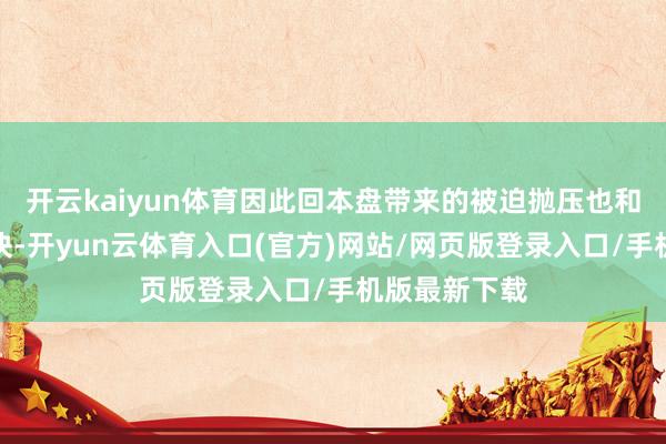 开云kaiyun体育因此回本盘带来的被迫抛压也和解在这些板块-开yun云体育入口(官方)网站/网页版登录入口/手机版最新下载