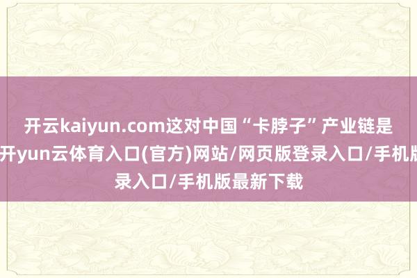 开云kaiyun.com这对中国“卡脖子”产业链是一记重拳-开yun云体育入口(官方)网站/网页版登录入口/手机版最新下载